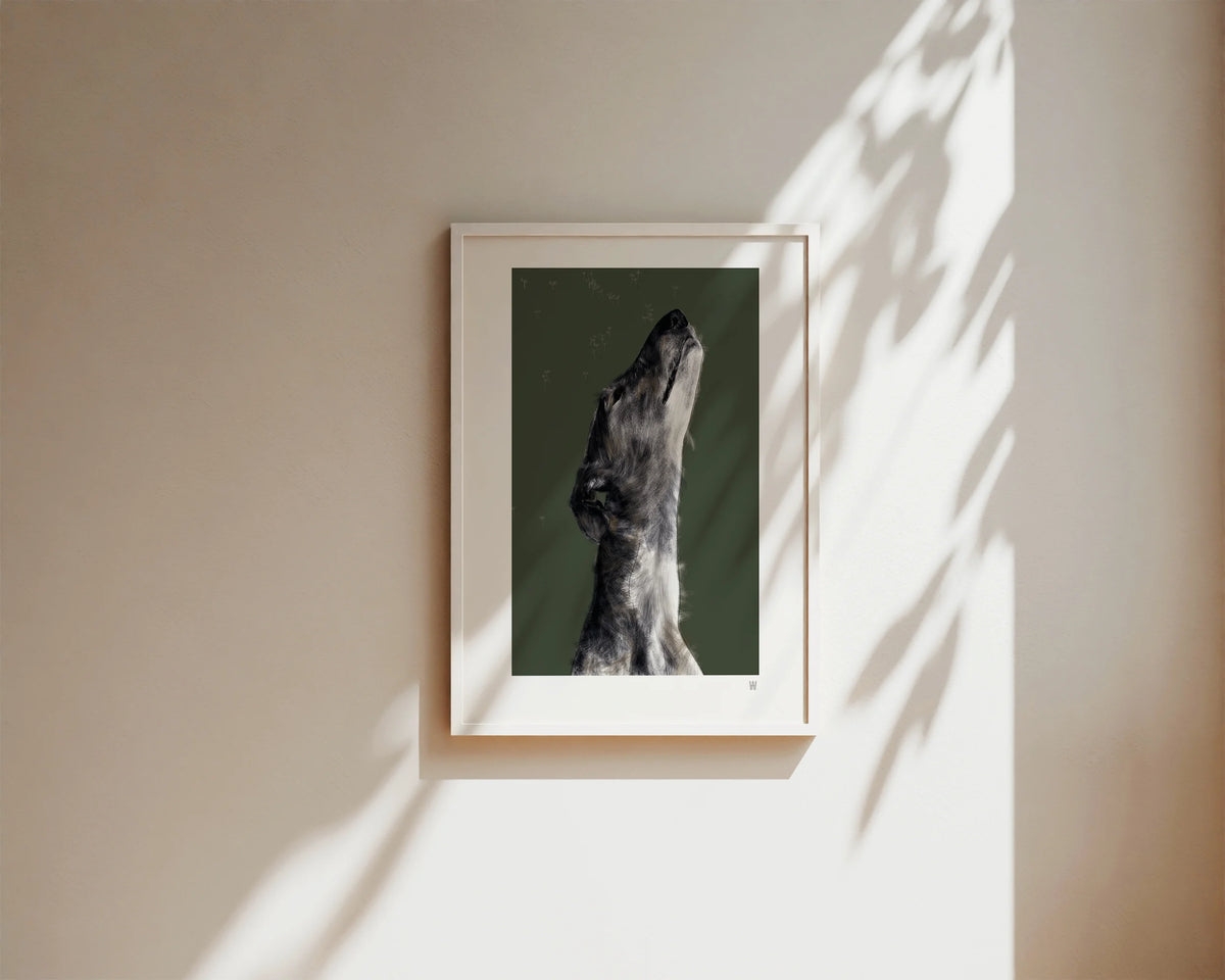 Galgo Staunend als Fine Art Print in Din A4 auf Enviro Value Kunstdruckpapier gerahmt an einer weißen Wand mit Sonnenflecken