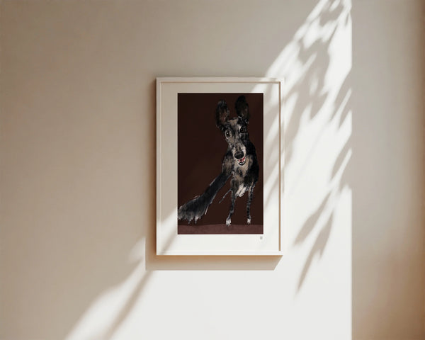 Greyhound Ausgelassen als Kunstdruck auf Enviro Value Fine Art Paper in Din A4 gerahmt an weißer Wand mit Sonnenflecken