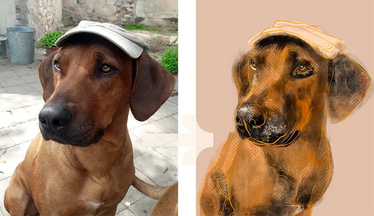 Foto und Illustration von Rhodesian Ridgeback Ferdinand 
