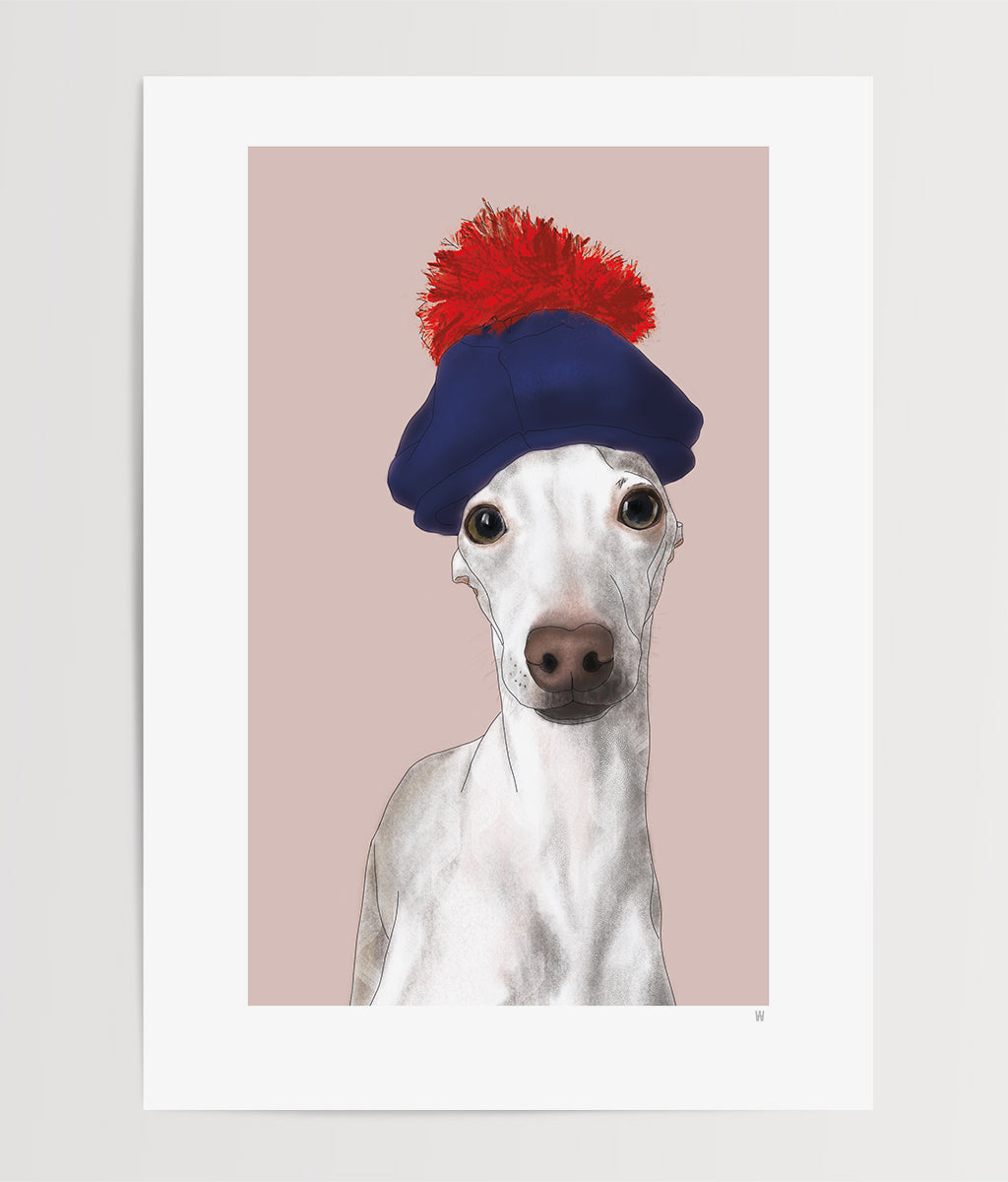 Hund Illustration ... Iggy ... Digitale Skizze ... Kunstdruck Hund A4 ... Limited Edition ... Serie #1