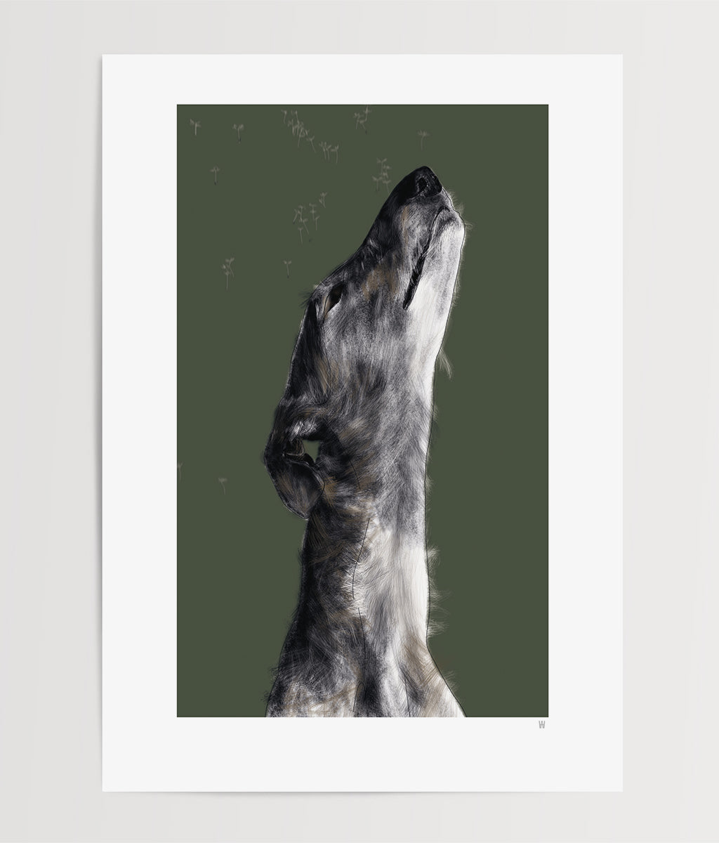 Hund Illustration ... Galgo ... Digitale Skizze ... Kunstdruck Hund A4 ... Limited Edition ... Serie #1