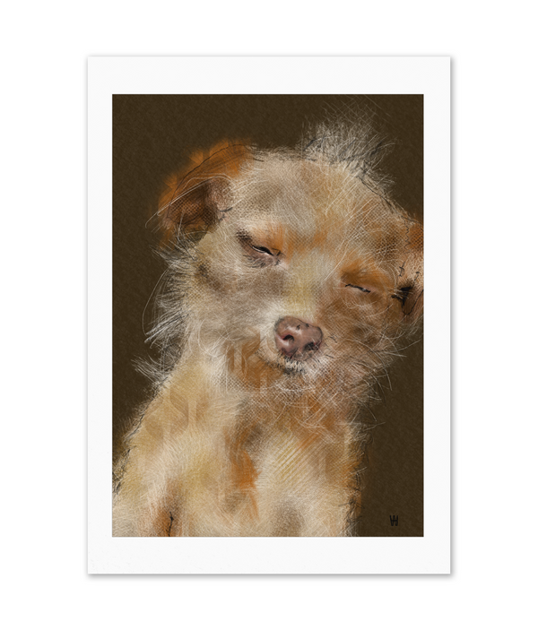 Portrait