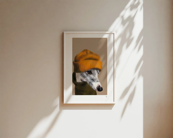 Whippet Versonnen als Fine Art Print in Din A4 auf Enviro Value Kunstdruckpapier gerahmt an einer weißen Wand mit Sonnenflecken